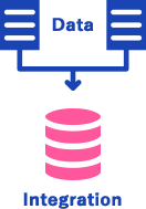 データ統合・分析基盤構築